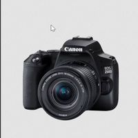 Canon EOS 250D [Neuwertig][OVP] Niedersachsen - Sögel Vorschau