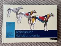 Arbeitsbuch Hundeanatomie Berlin - Friedenau Vorschau