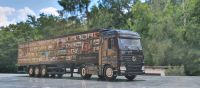 1:50 NZG MB Mercedes-Benz Actros MP2 Truck you can trust OVP Rar Brandenburg - Baruth / Mark Vorschau