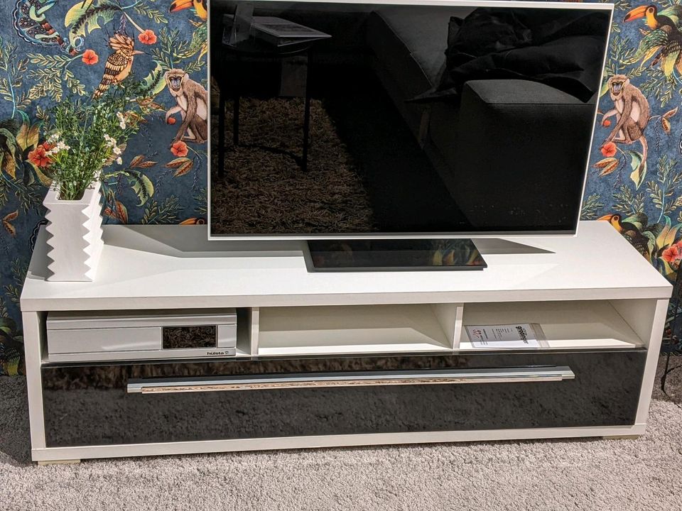 Konsole Lowboard TV-Element TV-Rack Wohnzimmer in Worms