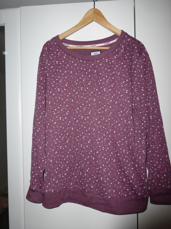 Shirt Sweater KangaRoos Gr. 44 46 XXL, lila in Bayern - Lohr (Main) | eBay  Kleinanzeigen ist jetzt Kleinanzeigen