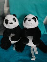 Ikea Panda  Bären Nordrhein-Westfalen - Schwelm Vorschau