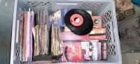 Kiste mit CDs und Schallplatten Baden-Württemberg - Herbolzheim Vorschau