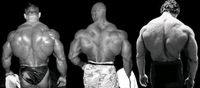 Suche Oldschool Hardcore Bodybuilding Artikel/Poster Nordrhein-Westfalen - Haan Vorschau