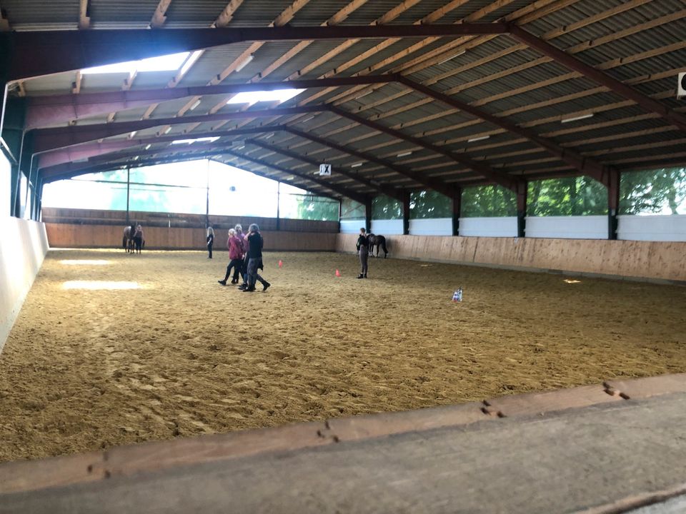 Paddockboxen Pferdeboxen mit Halle in VP in Xanten