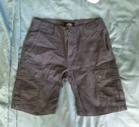 Cargoshort von Dickies Gr.28 Bayern - Seefeld Vorschau