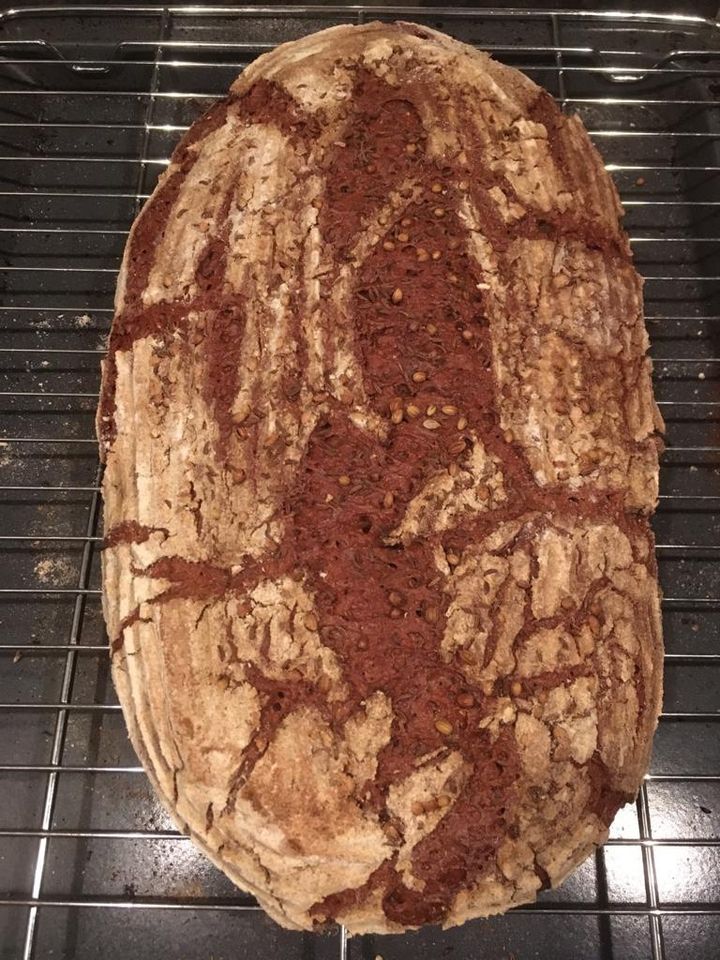 Sauerteig Starter Anstellgut Roggensauerteig Brot backen in Grassau