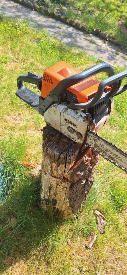 Stihl MS 170 in Lehrte