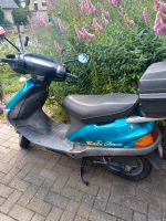 Roller Honda Bali Nordrhein-Westfalen - Rahden Vorschau