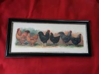 Bild Druck Hahn Huhn Henne Ostern (ca. 55x25 cm) Rahmen mit Glas Bayern - Rohrdorf Vorschau