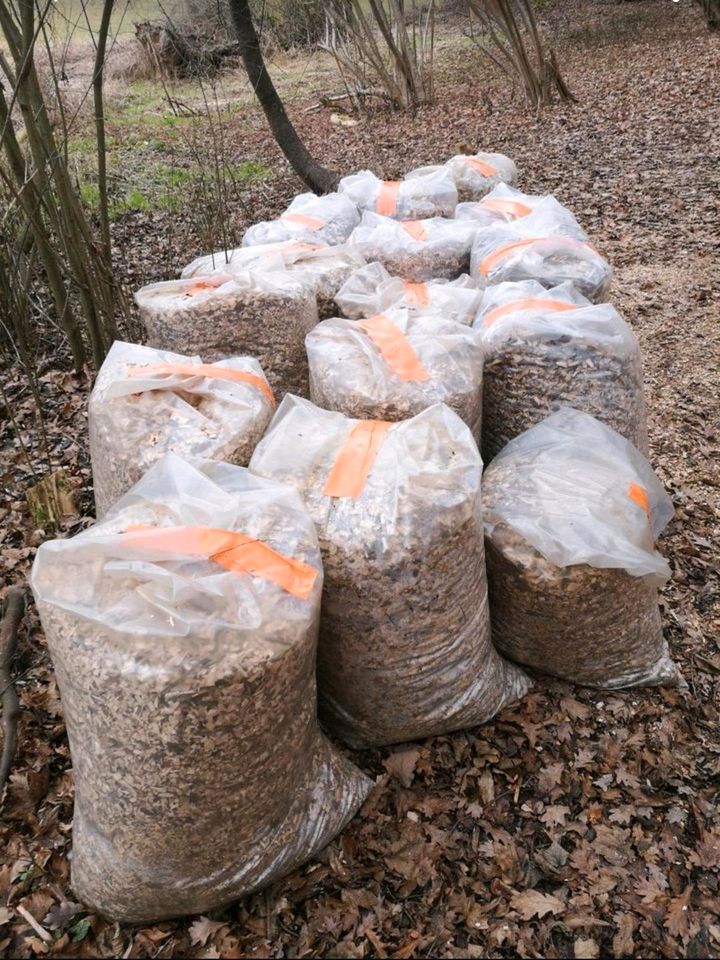 Rindenmulch, Hackschnitzel, Holzchips von Laubbäumen - Garten - in Gera