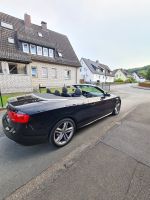 Audi A5 Cabrio 2.0 3X S Line Nordrhein-Westfalen - Höxter Vorschau