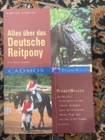 Buch Alles über das deutsche Reitpony Bayern - Reichenberg Vorschau