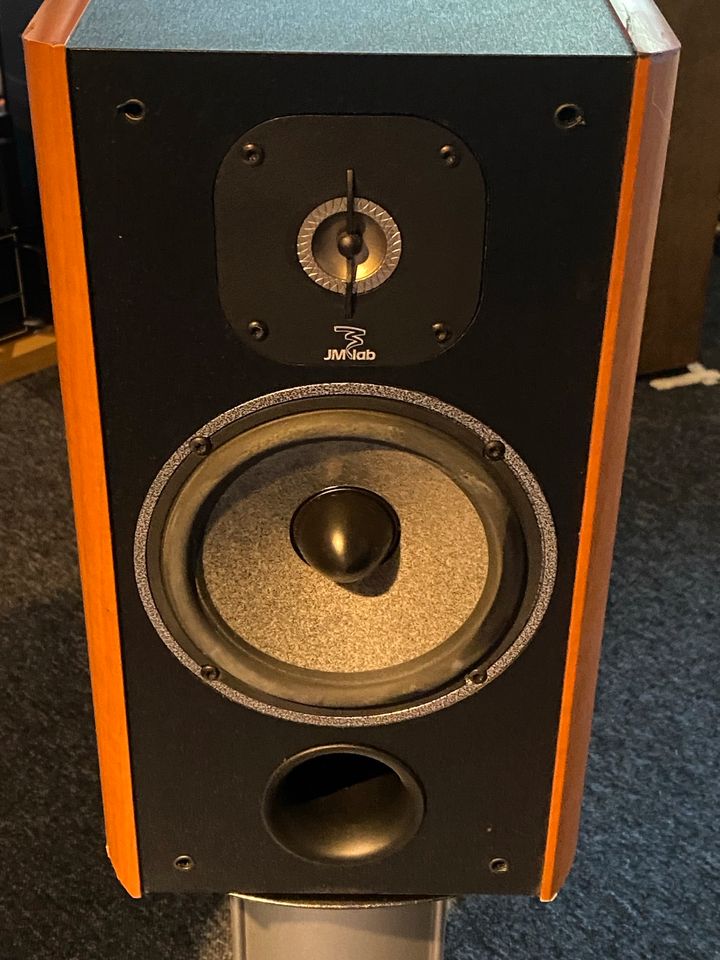 Focal cobalt 806 bi-wire mit Invers Kalotte (Wilson Audio) in Mühlheim am Main