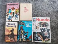 Alte Kinderbücher lassie, black beauty, Schildbürger etc Baden-Württemberg - Titisee-Neustadt Vorschau