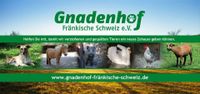 ⭐️ Gnadenhof Fränkische ➡️ Informationsh  (m/w/x), 91257 Bayern - Pegnitz Vorschau