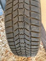 Sava Winterreifen Eskimo hp2 205/60 R16 neuwertig Nürnberg (Mittelfr) - Aussenstadt-Sued Vorschau