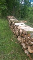 Holz zu verschenken Nordrhein-Westfalen - Werdohl Vorschau
