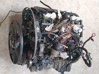 BMW M57D25 Motor E39 525d Opel Omega B Hessen - Eppertshausen Vorschau