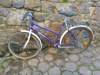 Mädchenfahrrad 26 Zoll Sachsen - Zwickau Vorschau