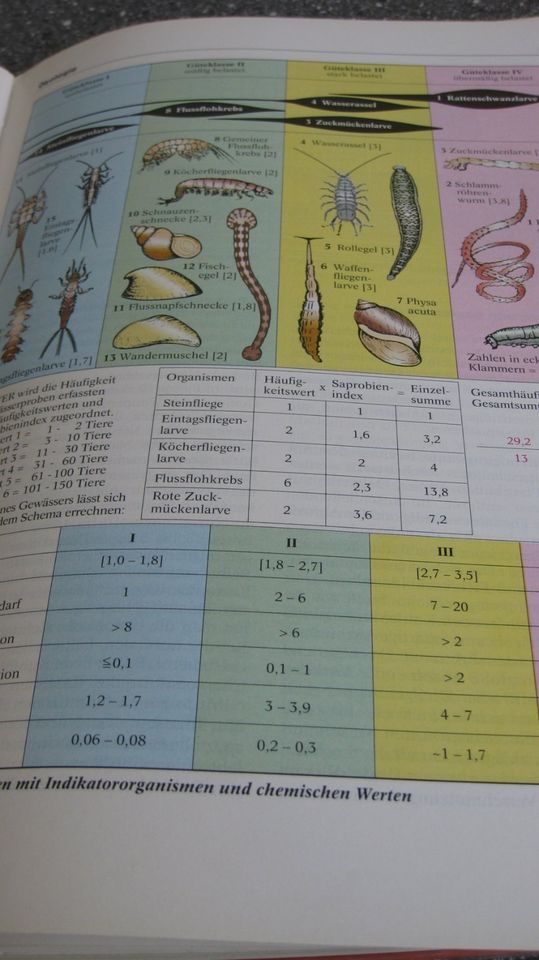 Biologie heute S II Schroeder Verlag 1997 in Burgstädt