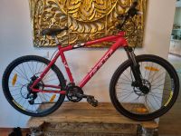 Mountain Bike Felt Q850 Berlin - Kladow Vorschau