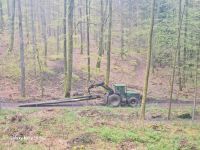 Forstwirt mit Holzrückemaschine mit Kran Rheinland-Pfalz - Heltersberg Vorschau