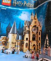 LEGO 75948 Harry Potter * Hogwarts Uhrenturm Baden-Württemberg - Klettgau Vorschau