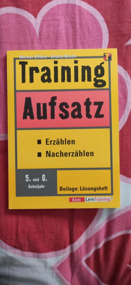 Deutsch Aufsatz Training 5 / 6 Klasse in Ingolstadt