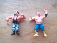 Div. Figuren Turtles Wrestling wwf Null Hasbro TITAN 88 jim Bayern - Roth Vorschau