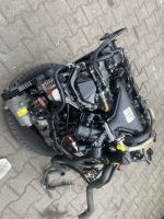 Ford Focus C-Max 2,0TDCI 136PS G6DA G6DB G6DD G6DG Motor Nordrhein-Westfalen - Dorsten Vorschau