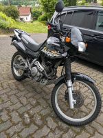 Honda NX 650 Dominator Nordrhein-Westfalen - Freudenberg Vorschau