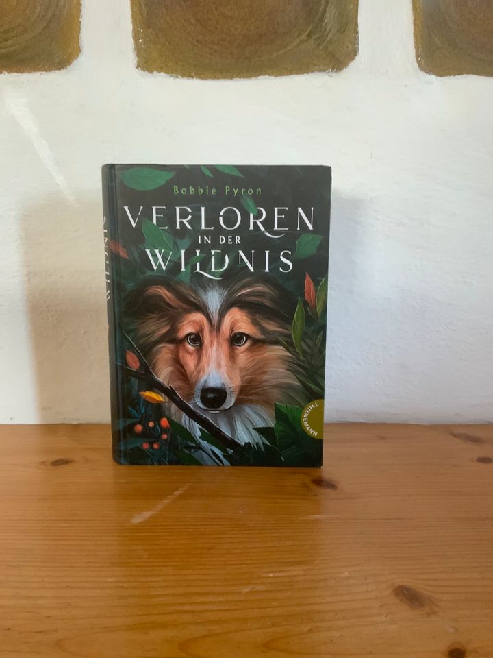 Jugendbuch Verloren in der Wildnis in Ingolstadt