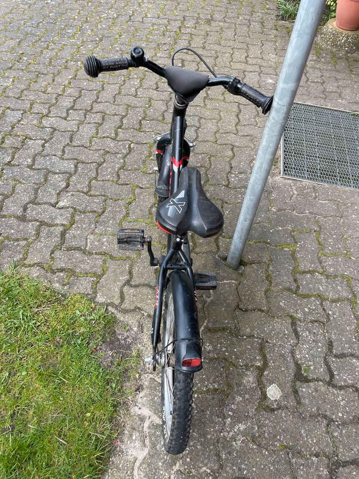 Puky Fahrrad in Hermannsburg