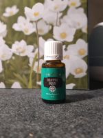 Eukalyptus Radiata Young Living NEU OVP 15ml Bayern - Krombach Vorschau