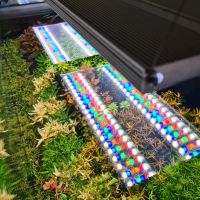 Aqua Grow Uniq FS 300+Seilaufhängung Nordrhein-Westfalen - Gelsenkirchen Vorschau