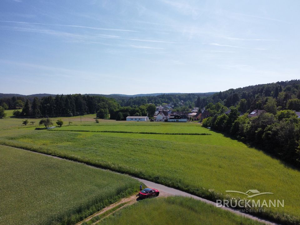 Schönes Baugrundstück (Nr. 752, 386 m²) im Neubaugebiet "Am Ringelsberg" Hertlingshausen! in Carlsberg