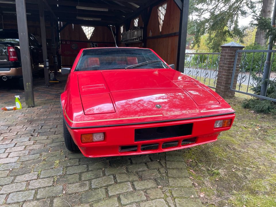 Lotus Excel in Thomasburg