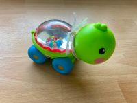 Fisher Price Poppity Pop Pals Schildkröte Hessen - Kriftel Vorschau