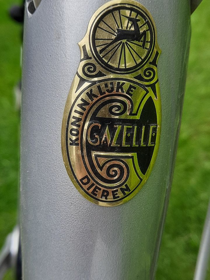 Fahrrad Gazelle Saphir 28 Zoll in Celle