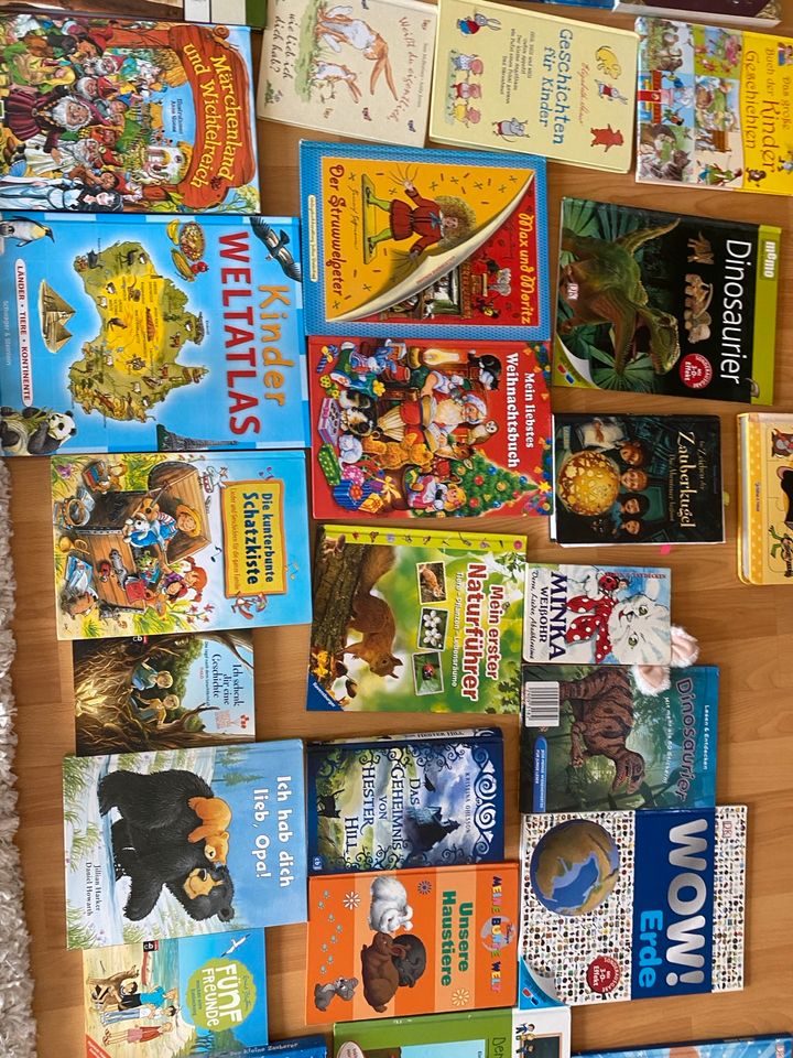 Diverse Kinder und Jugendbücher ab 1€ in Dresden