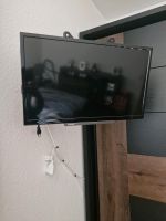 Fernsehen neu Toshiba Nordrhein-Westfalen - Schloß Holte-Stukenbrock Vorschau