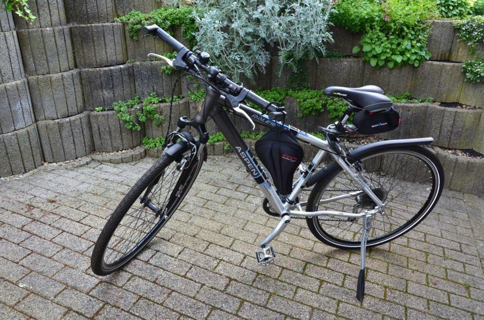 Damen Fahrrad Raleigh Aspen 28 Zoll gratis diverses Zubehör neuwe in Untereisesheim