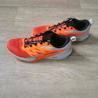 Salomon Sense Ride 5  Gr. 46.2/3 Sachsen-Anhalt - Merseburg Vorschau