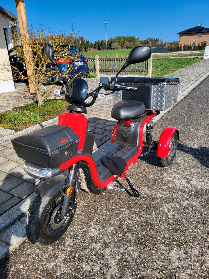 Ari 145 Elektroroller Lastenmoped E-Roller in Stammham b. Ingolstadt