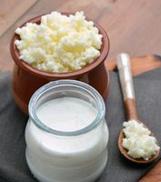 Milchkefir knolle Tibet und Kaukase Bayern - Weichering Vorschau