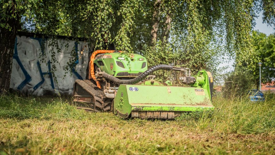 Grünpflege Gartenpflege Heckenschnitt Rasenpflege Rasen mähen in Mansfeld