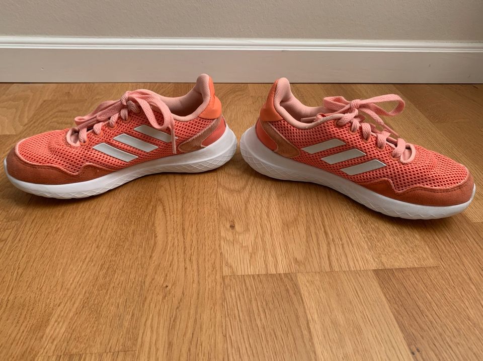 Kinder Sportschuhe Hallenschuhe Adidas Archivo K orange 33 1/2 in  Düsseldorf - Grafenberg | Gebrauchte Kinderschuhe Größe 33 kaufen | eBay  Kleinanzeigen ist jetzt Kleinanzeigen