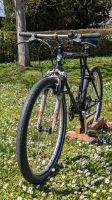 Retro MTB "GT Borrego" mit Stahlrahmen Baden-Württemberg - Ludwigsburg Vorschau