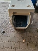 Hundetransportbox Niedersachsen - Fürstenau Vorschau